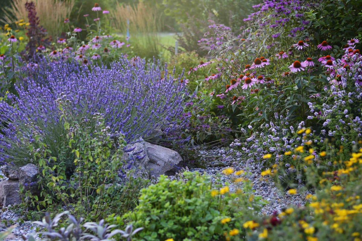 Création de jardin paysager à Nice